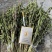毛慈菇果荚，多芽黄花，紫花，杜鹃，一号。