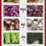 黄花菜烘干机黄花菜杀青烘干流水线鲜黄花金针菜烘干设备