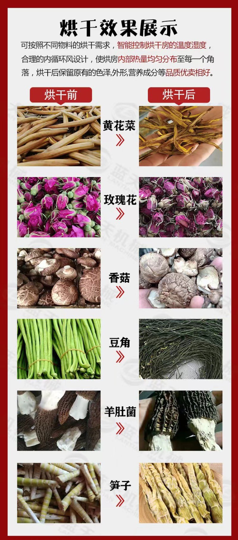 黄花菜烘干机黄花菜杀青烘干流水线鲜黄花金针菜烘干设备
