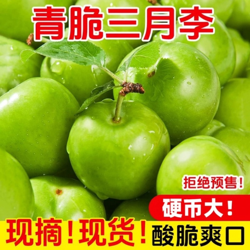 云南三月李电商一件代发