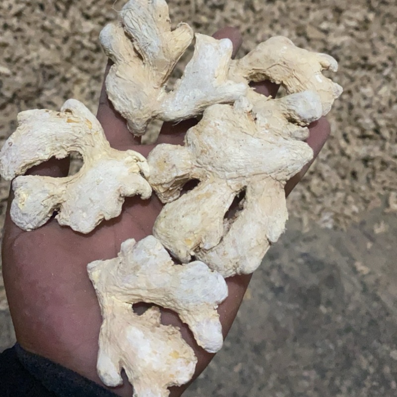 高硫姜个