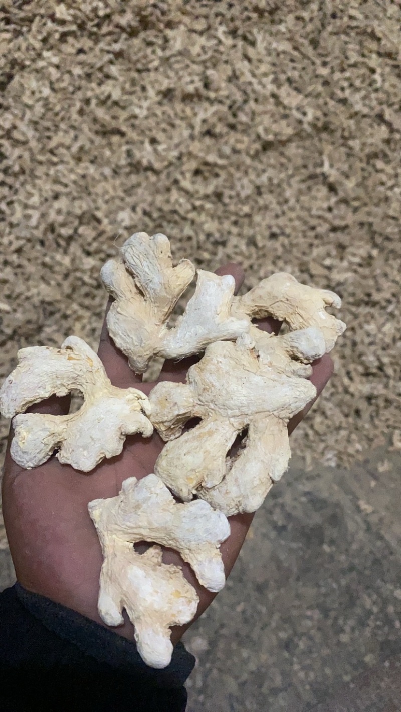 高硫姜个
