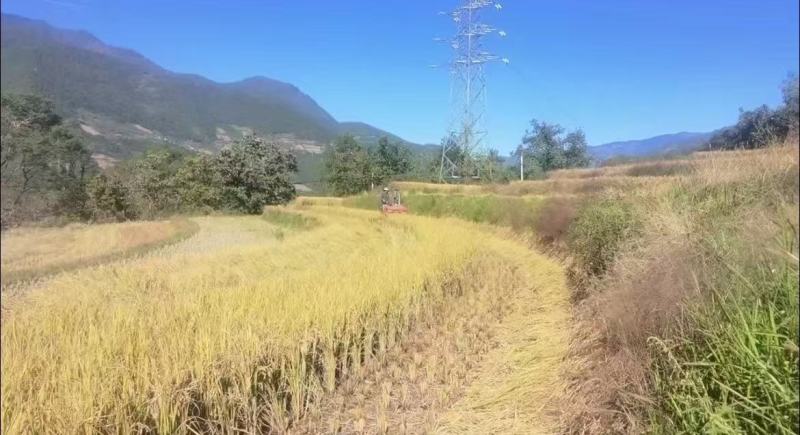 滇禾优34大米，百姓手工种植。量大从优。