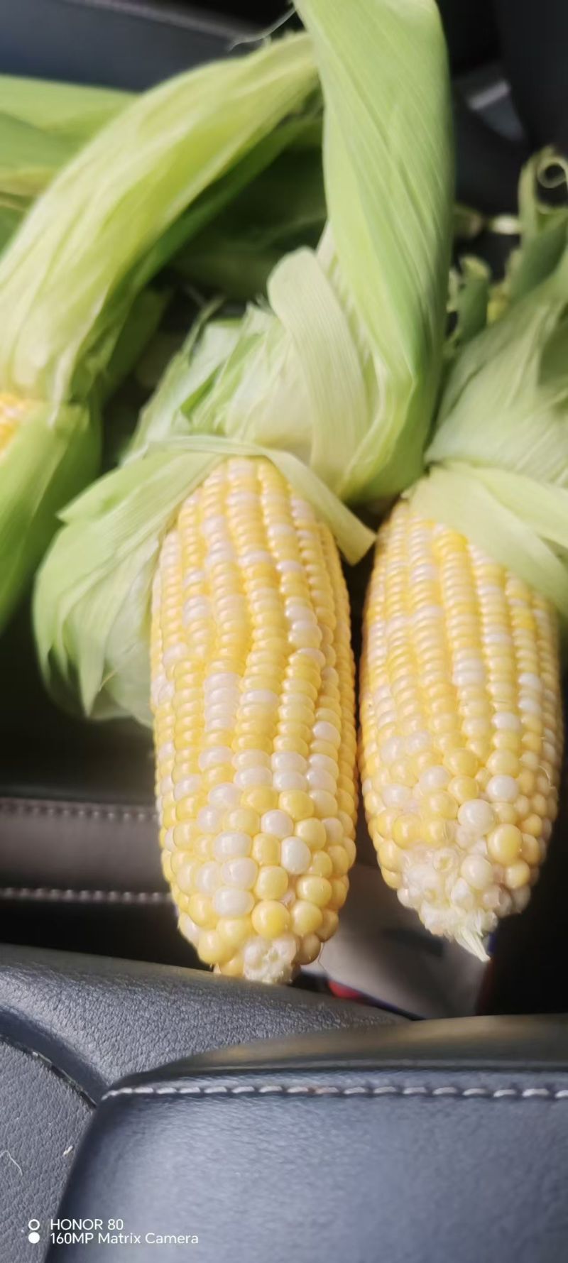 广东精品花糯玉米产地直发品质保证量大从优一手货源