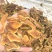 【2斤包邮】大量供应无花果干，支持零售批发，欢迎咨询
