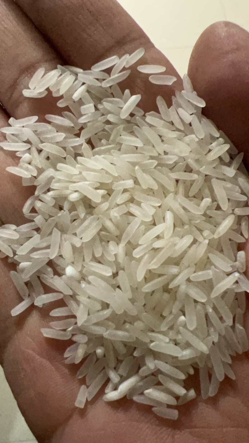 【热销】小包装10斤1袋香米精品大米新米规格齐全