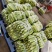 湖北荆州白玉黄瓜大量上市了