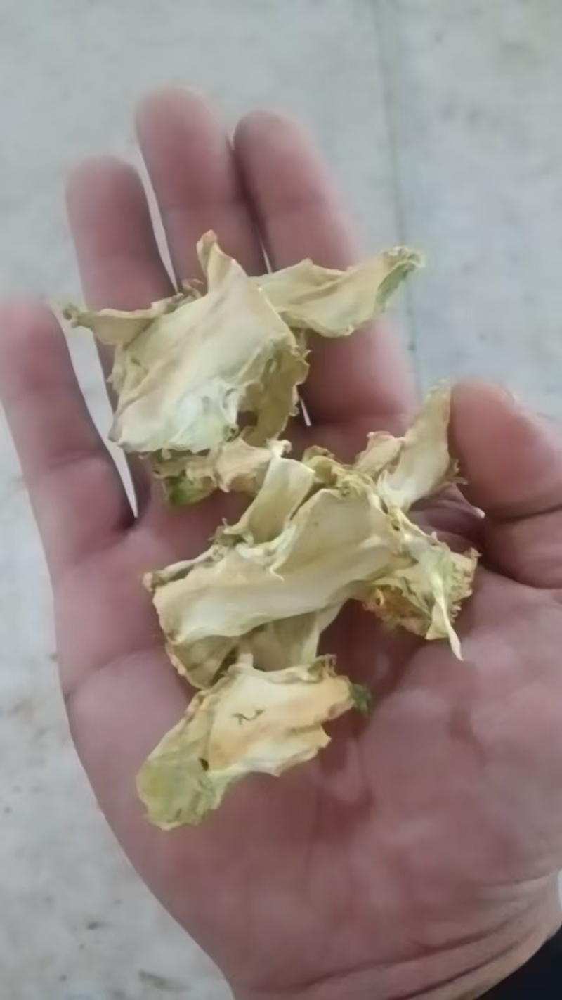 儿菜干，干儿菜片，干儿菜条