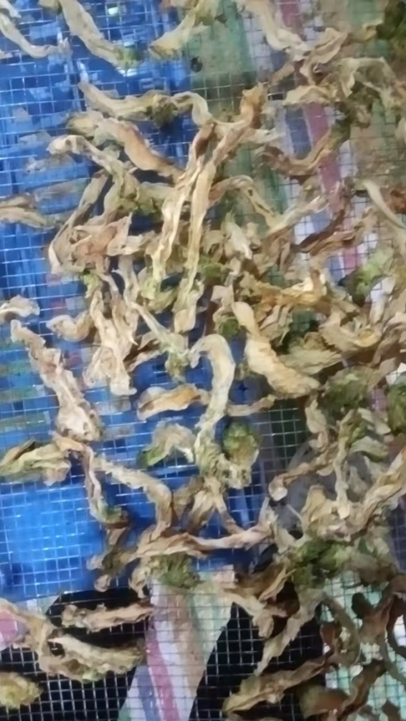 儿菜干，干儿菜片，干儿菜条