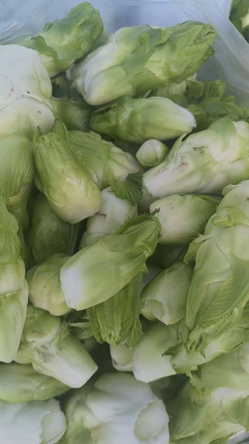 儿菜干，干儿菜片，干儿菜条