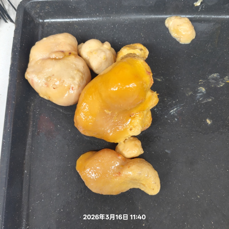 鸡宝
