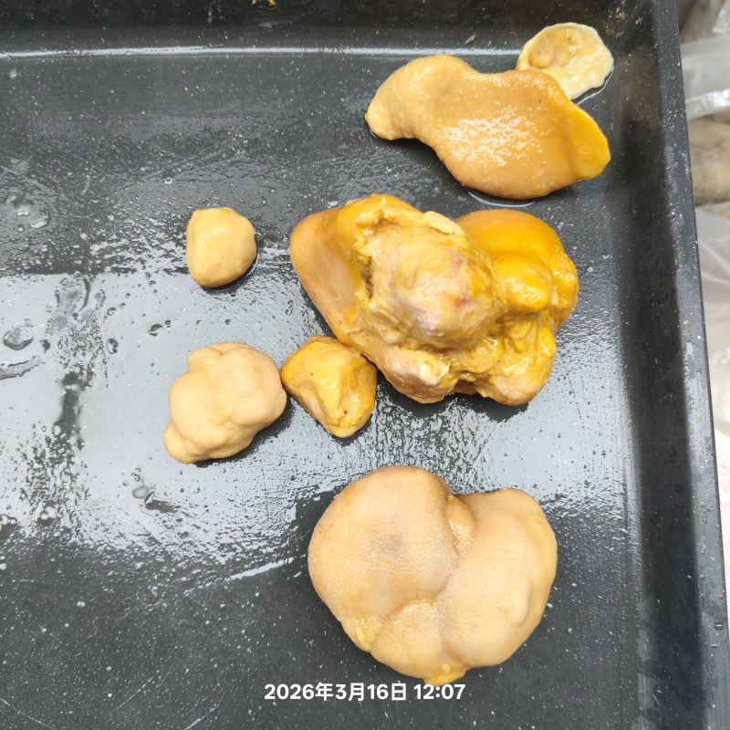 鸡宝