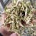 儿菜干，干儿菜片，干儿菜条