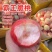 霸王脆桃树苗，产量高，早熟品种，脆甜，包邮包品质