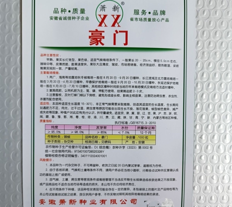 豪门辣椒种子大果薄皮早熟果色绿耐热耐寒高产薄皮椒种子灯笼