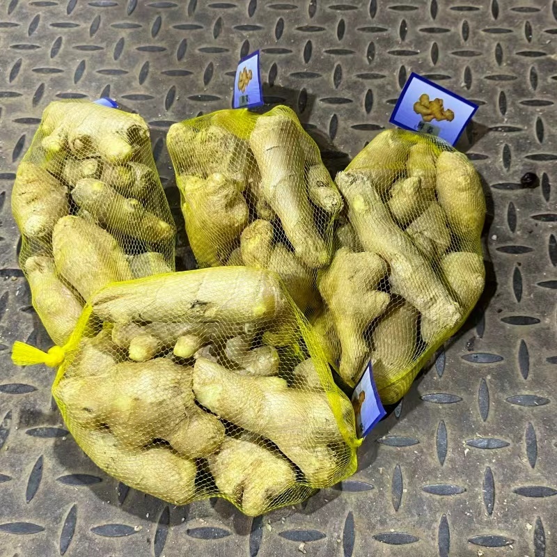 山东特级风干姜水洗正宗生姜大姜晒干黄姜新鲜月子批发老姜姜