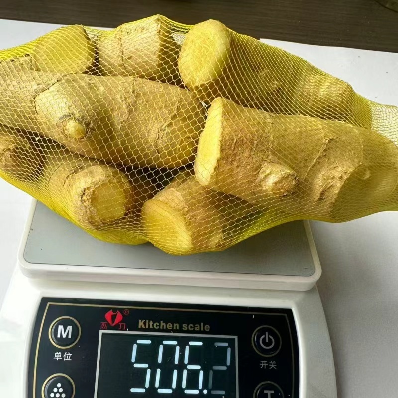 山东特级风干姜水洗正宗生姜大姜晒干黄姜新鲜月子批发老姜姜
