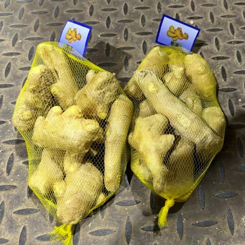 山东特级风干姜水洗正宗生姜大姜晒干黄姜新鲜月子批发老姜姜