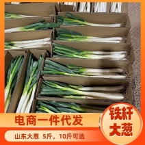 山东大葱应季整箱蔬菜脆甜基地自种电商一件代发