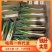 山东大葱应季整箱蔬菜脆甜基地自种电商一件代发