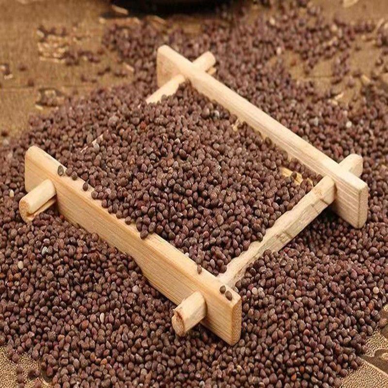 批发中药材紫苏籽紫苏子各种规格香料花茶中药批发零售