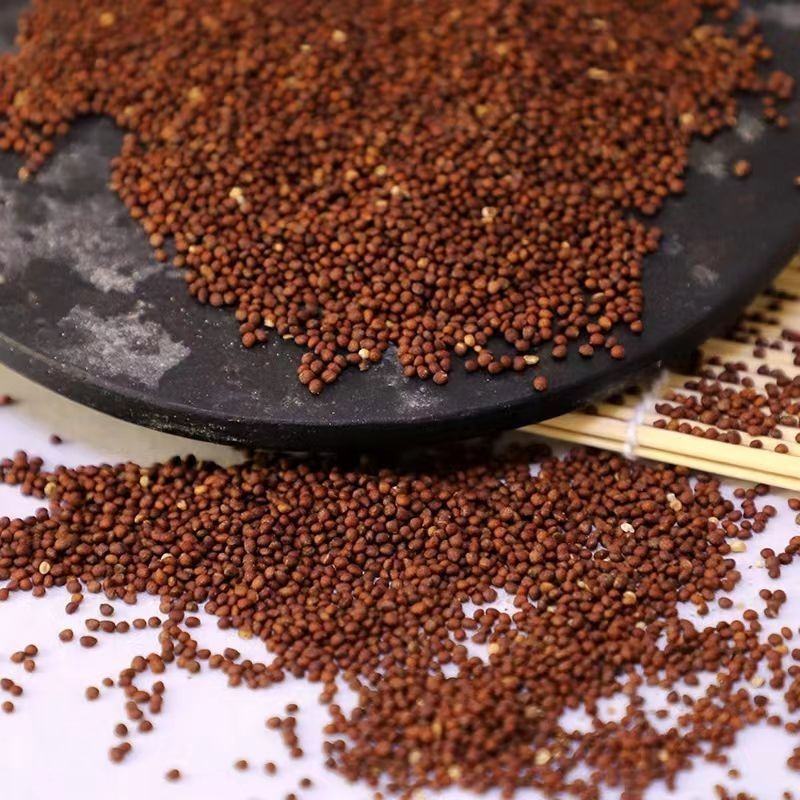 批发中药材紫苏籽紫苏子各种规格香料花茶中药批发零售