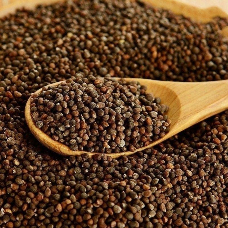 批发中药材紫苏籽紫苏子各种规格香料花茶中药批发零售