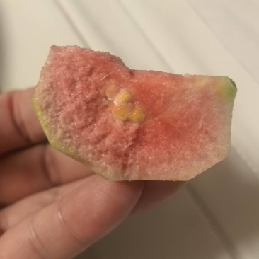 采购广西红心芭乐