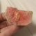 采购广西红心芭乐