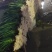 红根蒜苗