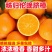 《伦晚脐橙》万州正宗橙子基地直发对接商超团购电商一条龙