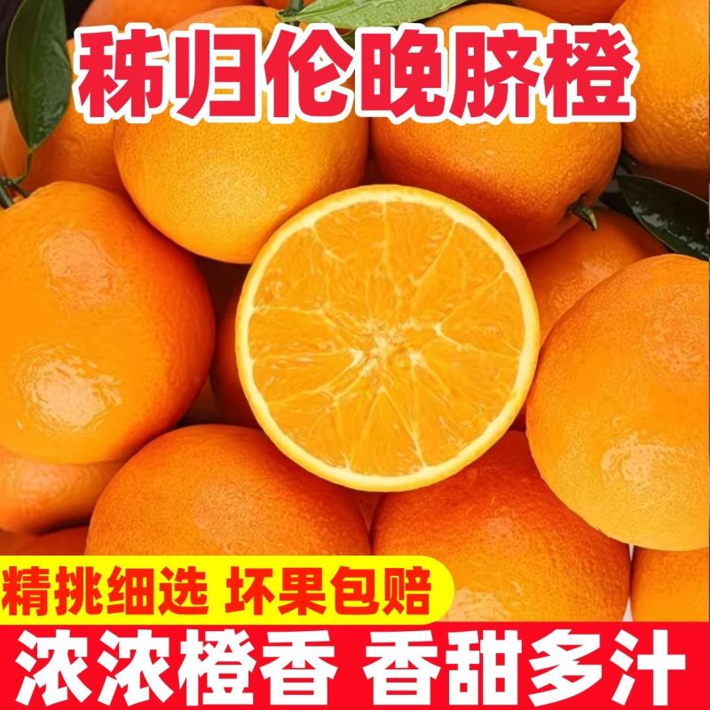 《伦晚脐橙》万州正宗橙子基地直发对接商超团购电商一条龙