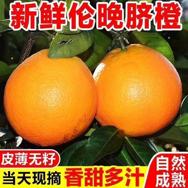 《伦晚脐橙》万州正宗橙子基地直发对接商超团购电商一条龙
