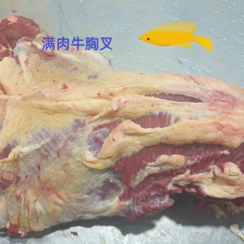 【牛胸叉】黄牛的胸骨寸排！满肉超大厚实！手续全免费加工！