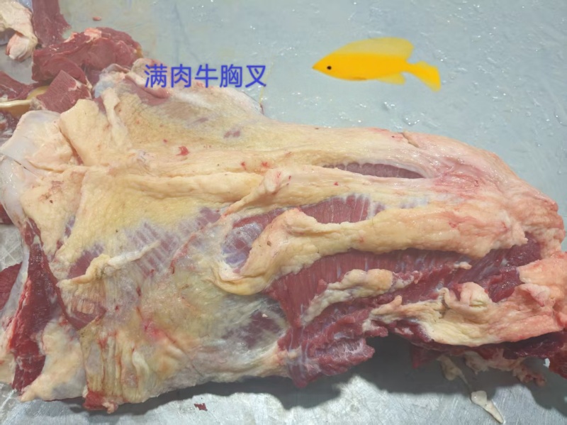【牛胸叉】黄牛的胸骨寸排！满肉超大厚实！手续全免费加工！