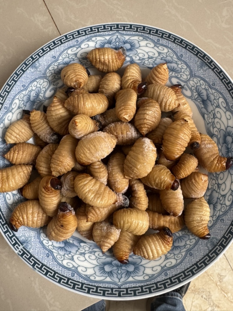 竹虫冻品大量供应产地直发品质保证量大从优欢迎订购