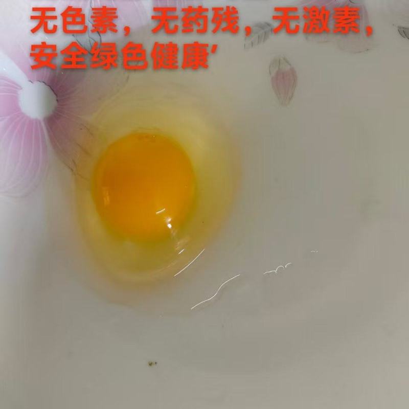 自家养殖场，高品质土鸡蛋。无激素，无色素，无药残绿色健康