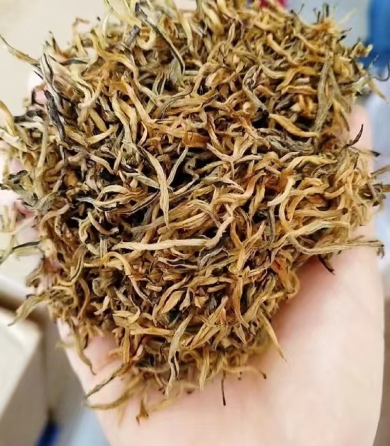 广东英德英红九号茶叶