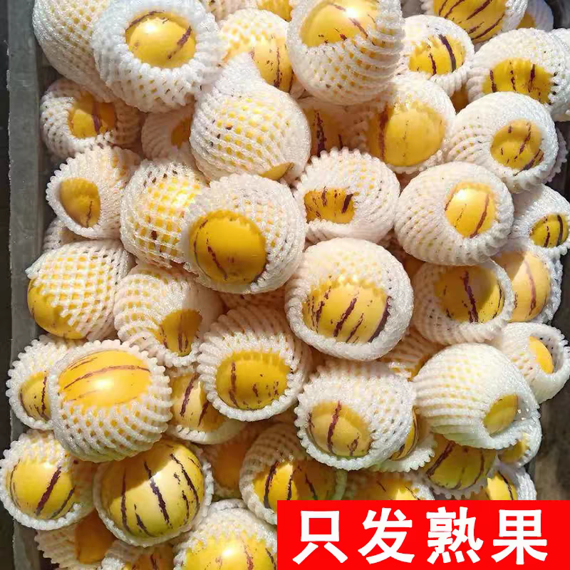 《人参果》云南人参果/一件代发/供应电商，淘宝，抖音