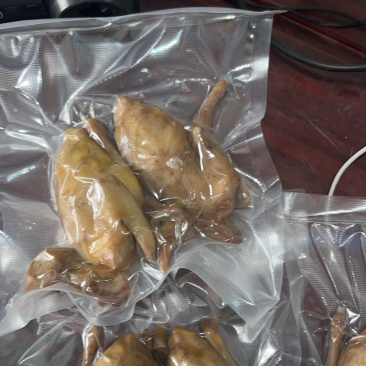 【熟食鸽子】红烧乳鸽半成品12元
