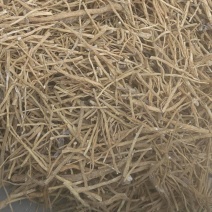 当归黄尾黑尾批发，适合打粉用料，有喜欢的老板欢迎咨询下单