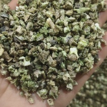 《蒺藜》刺蒺藜白蒺藜实物拍摄干净无杂质保证质量