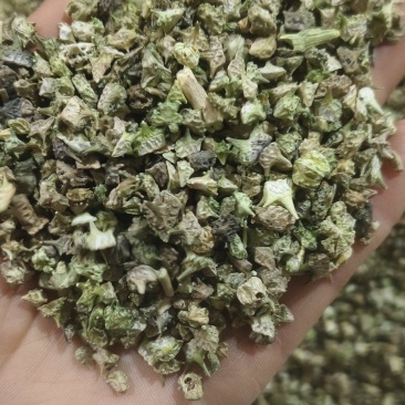 《蒺藜》刺蒺藜白蒺藜实物拍摄干净无杂质保证质量