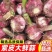 《大蒜头》紫皮大蒜头/鲜蒜头/一件代发/电商货源供应