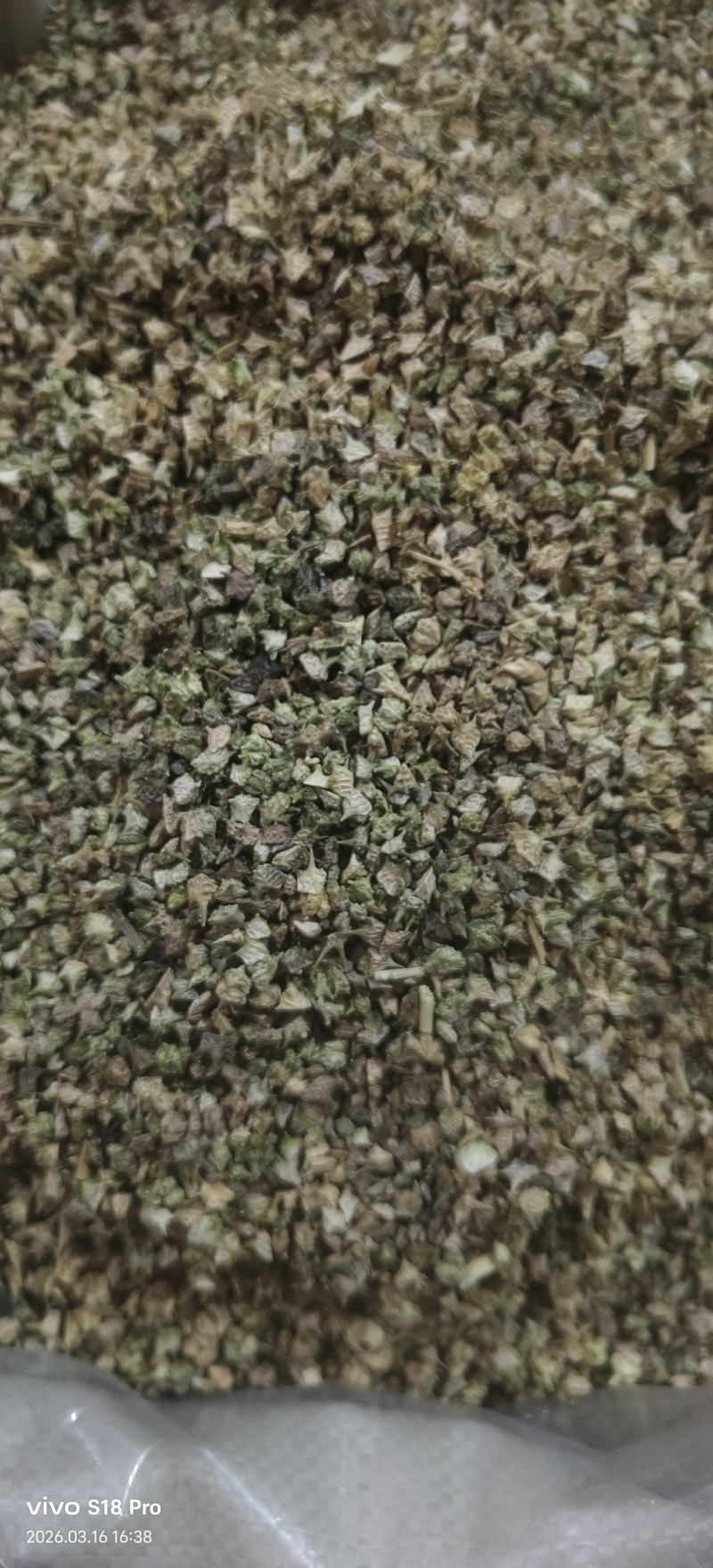 《蒺藜》刺蒺藜白蒺藜实物拍摄干净无杂质保证质量