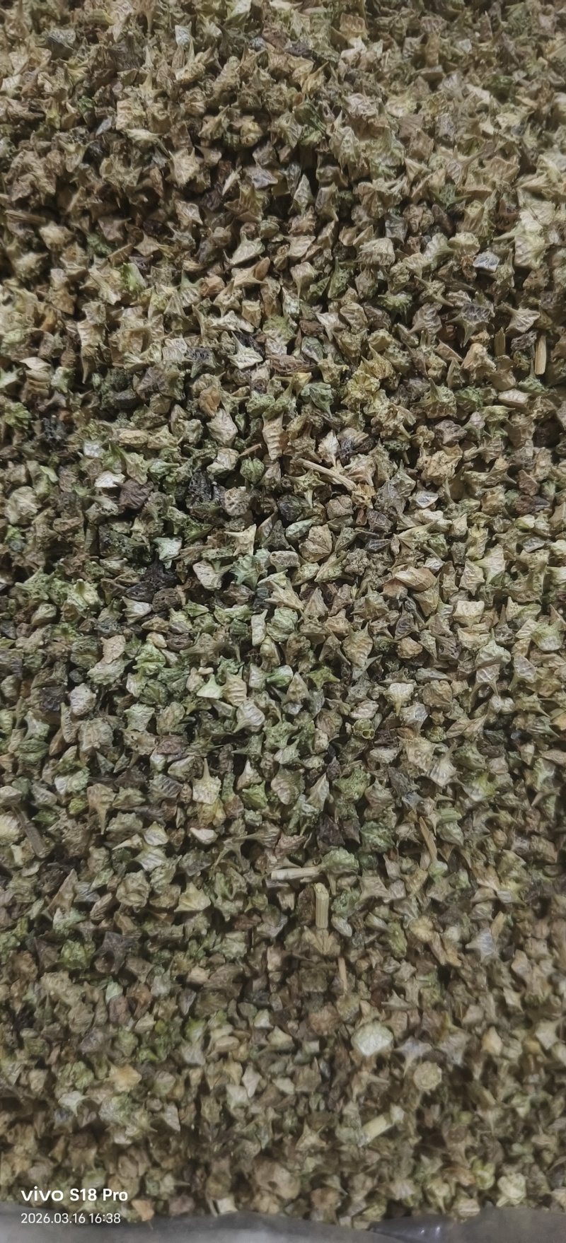《蒺藜》刺蒺藜白蒺藜实物拍摄干净无杂质保证质量