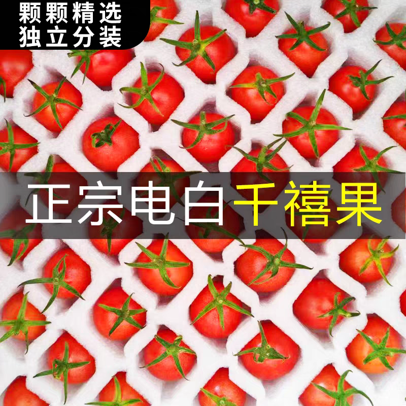 《千禧圣女果》云南发货/一件代发/直播电商淘宝货源