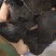 《肉苁蓉》精选肉苁蓉片硬大云干净无杂质实物拍摄