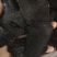 《肉苁蓉》精选肉苁蓉片硬大云干净无杂质实物拍摄