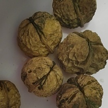 正宗云南核桃